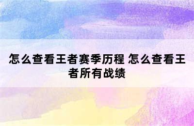 怎么查看王者赛季历程 怎么查看王者所有战绩